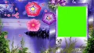Green screen background flower animation effects frame video