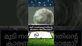 മുടി നരയ്ക്കുന്നതിന്റെ കാരണം | White hair, Brown hair