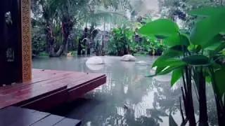 Five beautiful wallpaper ever seen