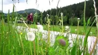 Rolanje Bohinj - Teaser (Full HD)