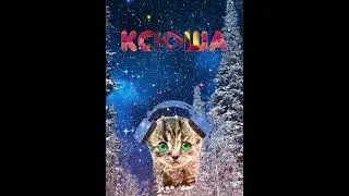 Ксюша, с днём рождения ❤️ #котики #кошки #коты #снаступающимновымгодом2024