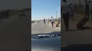 куча жанглари