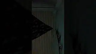laugh