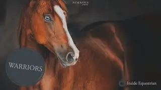 Warriors || Equestrians United Music Video ||