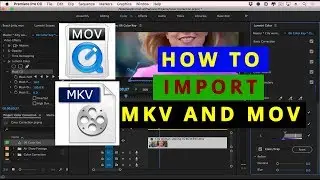 How to import MKV and MOV files in Adobe Premiere Pro without any software