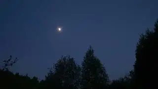 Соловьиная трель на закате.