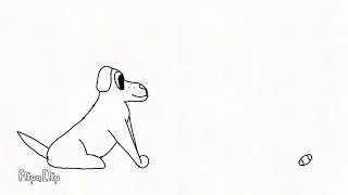 Test Animation