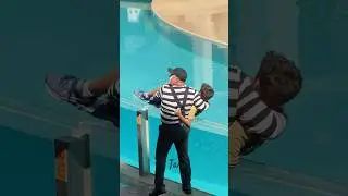 Tom Saves a Kid 🤭😂| Tom the World Famous Seaworld Mime