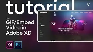 Animation Tutorial ala Gif / Video in Adobe XD
