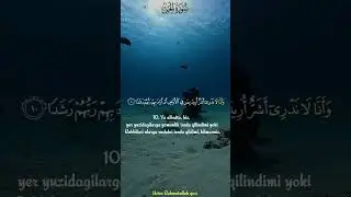 Jin surasi 8-13-oyatlar Ustoz Rahmatulloh qori