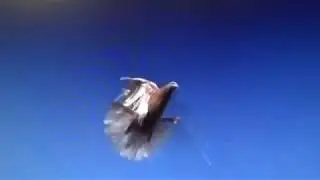 20171026085828