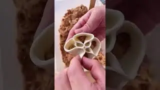 Beautiful Dumpling tiktok lwoe4