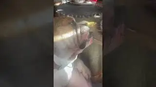 22 августа 2024 г.что может быть вкуснее сыра на столе?