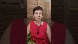 Круг поддержки 8-11-2023