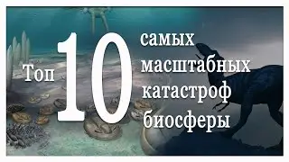 Топ 10 биосферных катастроф