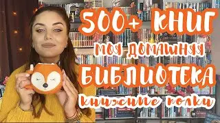 📚 МОИ КНИЖНЫЕ ПОЛКИ 2024 🔥книжный шкаф🔥500+ книг