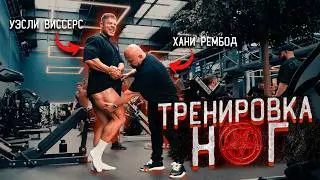 HANI REMBOD DESTROYS WESLEY VISSERS IN LEGS TRAINING