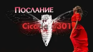 Цикада 3301. Тайные знания. Послание Человечеству извне