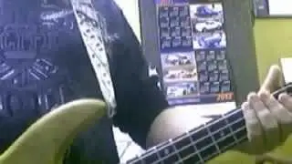 Bass Lesson: Getting Started, Picking Style and Palm Muting