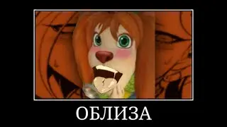 Барбоскины + ШИЗА =