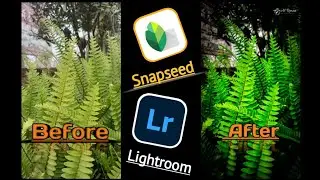 small effort, with lightroom & sapseed