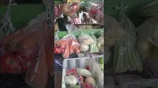 Belanja Sayuran Segar: Rahasia Makanan Sehat Setiap Hari!