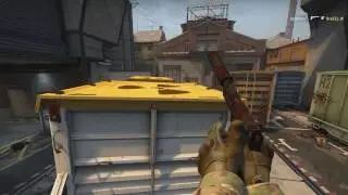 CS:GO - A Simple Flick and Frag