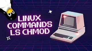Mastering ls and chmod Commands in Linux: A Beginner's Guide