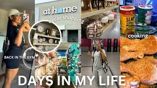 Productive Days in my life | Collective vlog. Gym, Cooking, House decor shopping + Haul