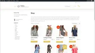 How to make your first filter, the product categories filter?