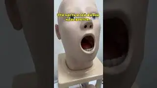 Я в ТГ👩🏼‍⚕️ https://t.me/dranastasia_s #медицина #превентивнаямедицина #ординатура