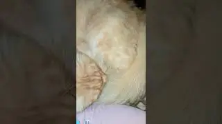 Спит😘💓 Музыка Автора @simb