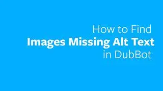 How to Find Images with Missing Alt Text in DubBot