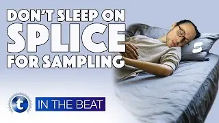Splice Is Amazing For Sampling | In The Beat | Sensho | Thomann