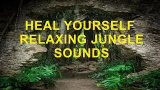 Inner Peace -Sleep Meditation -Jungle And Water Sounds #14