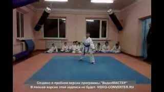 Каратэ до шотокан аттестация на 3 кю (светло-коричневый пояс)