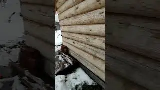 11 ноября 2022 г.