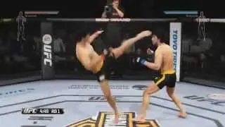 Bruce Lee vs Bruce Lee