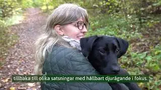 Svelands Lilla Försäkringsskola - Del 1: Vad är en försäkring?
