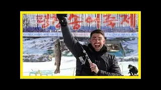 올림픽 도시에서 열리는 평창송어축제 22일 개막