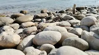 Dalga Sesi - GENÇ KAŞİF