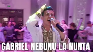Gabriel Nebunu la Nunta - Filmare la nunta Grand Elysee