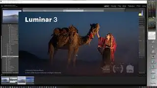 Luminar Flex EN