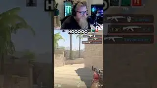 spray transfer so hot right now