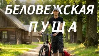 Путешествие в Беловежскую пущу | Заповедный лес на велосипеде