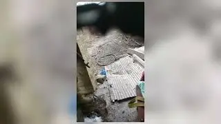 Война : глазами простого украинца .