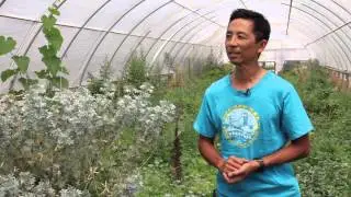 Thomas Hill Organics Presents Mt. Olive Organic Farm