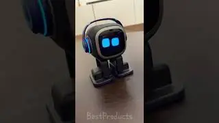 Emo the Walking Robot: Exploring the World, One Wobbly Step at a Time!