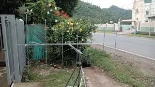 7 Elements Yagi 146.500Mhz center @ 142-152Mhz bandwidth