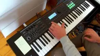 EXP ORCHESTER-COLLECTION (Roland Juno-DS)